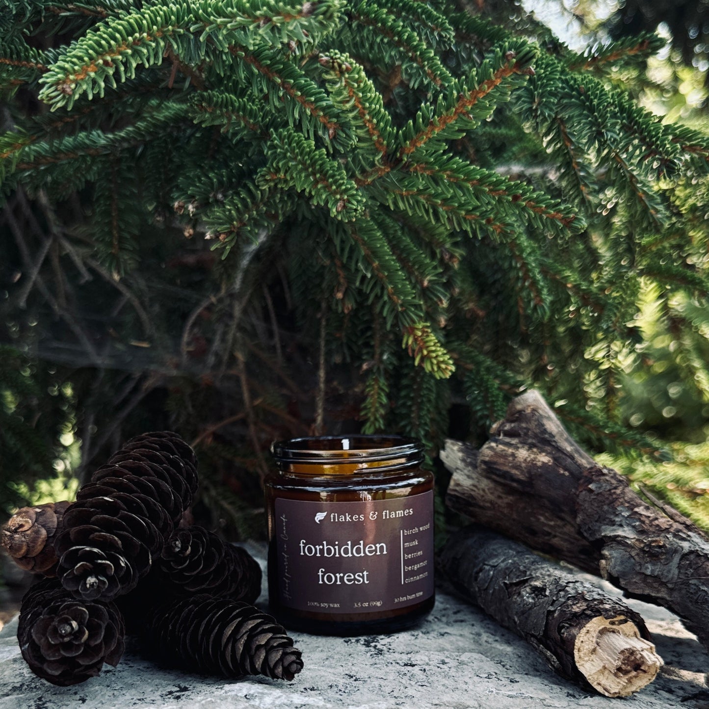 forbidden forest
